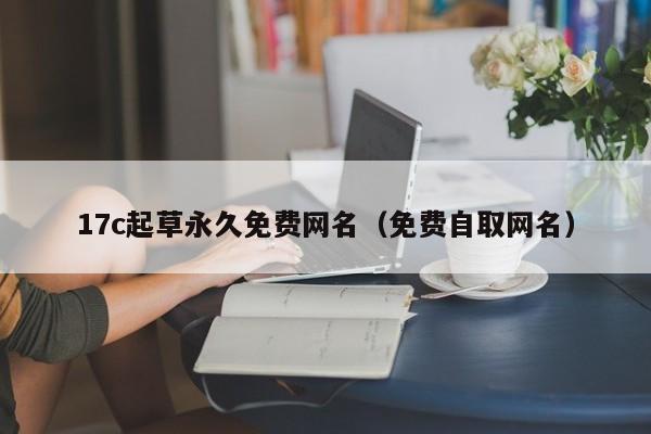 17c起草永久免费网名(免费自取网名)
