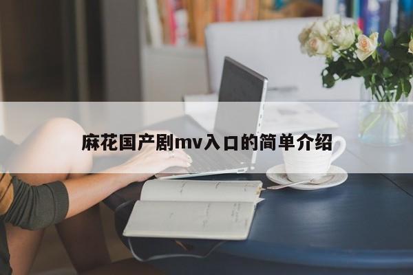 麻花国产剧mv入口的简单介绍