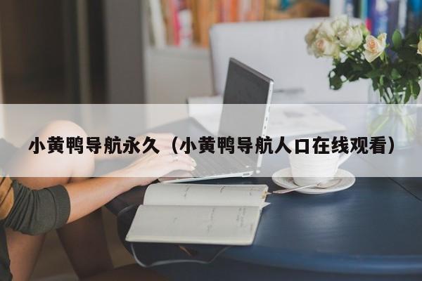 小黄鸭导航永久(小黄鸭导航人口在线观看)