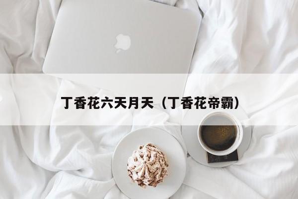 丁香花六天月天(丁香花帝霸)